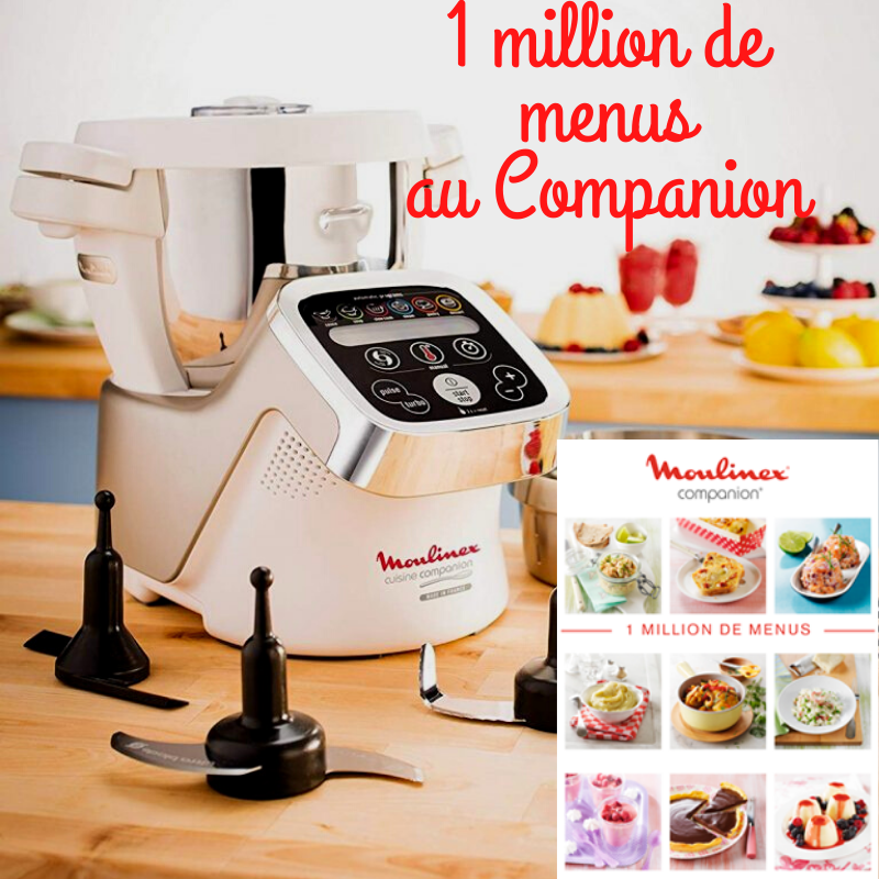 1 million de menus companion moulinex 1