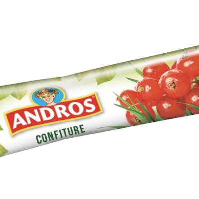 Andros stick de confiture de groseilles