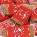 Biscuits speculoos the original le lot de 21