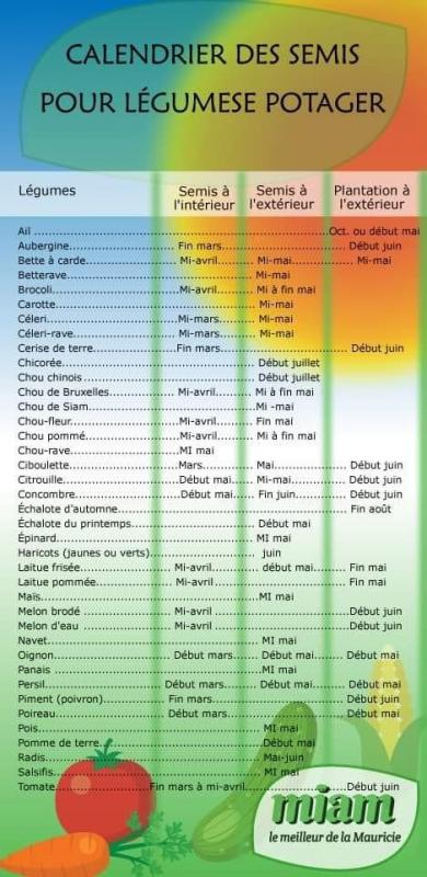 Calendrier de semis et récolte au potager