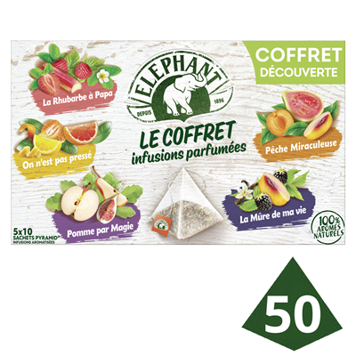 Coffret infusions parfumees 50 sachets pyramide elephant 2