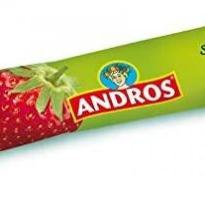 Confiture de fraise en stick 20 g x 100 andros