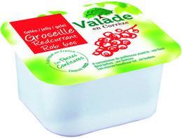 Confiture de groseille 120 x 30 g pour professionnels et collectivites