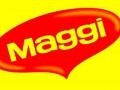 Grossiste fournisseur maggi