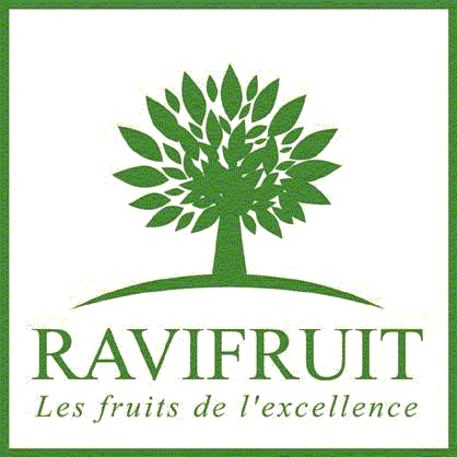 Purée de fruits rouges Ravifruit