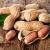 Grosssite en biscuits aperitif 1 