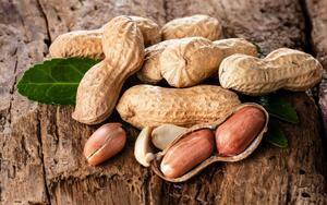 Cacahuètes et biscuits apéritifs