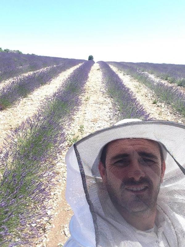 Miel de lavande regalez vous en cevennes