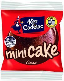 Mini cake cacao sans sucre r 1 30 g x 61