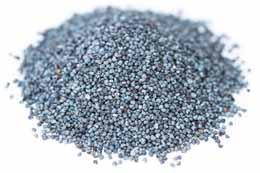 Pavot graines bleues 500 g saisse