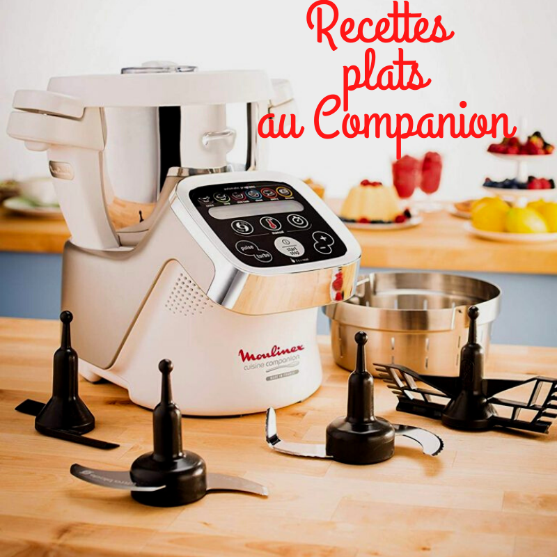 Recettes plats au companion en pdf