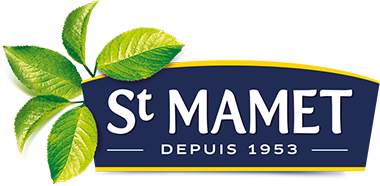 Saint mamet vente en ligne