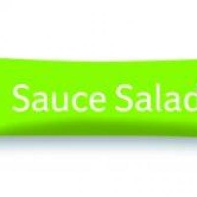 Sauce salade en stick 10 g gusto debrio 1