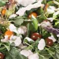 Sauce salade et vinaigrette en dosettes et sticks individuels
