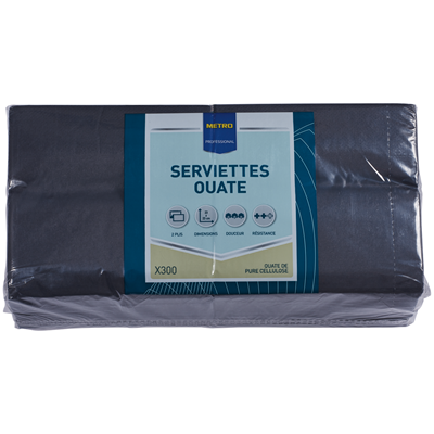 Serviette 20x20 Ouate Noir - 2 Plis - Lot de 100 - LE PETIT FOURNISSEUR