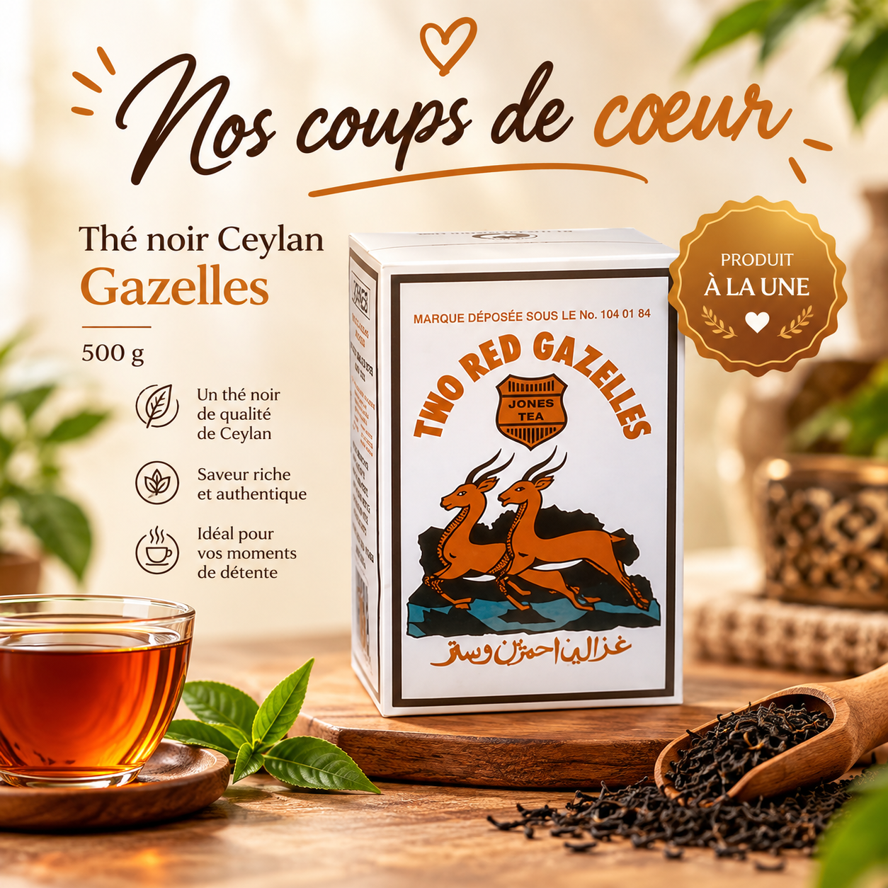 The noir ceylan gazelles en vedette
